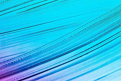 《Zombie Police～圣诞节与僵尸共舞～》8＆8推出